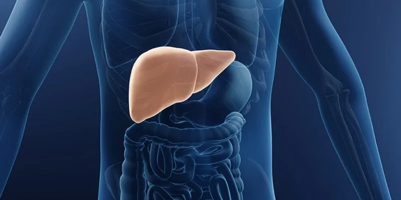 Fatty Liver Disease